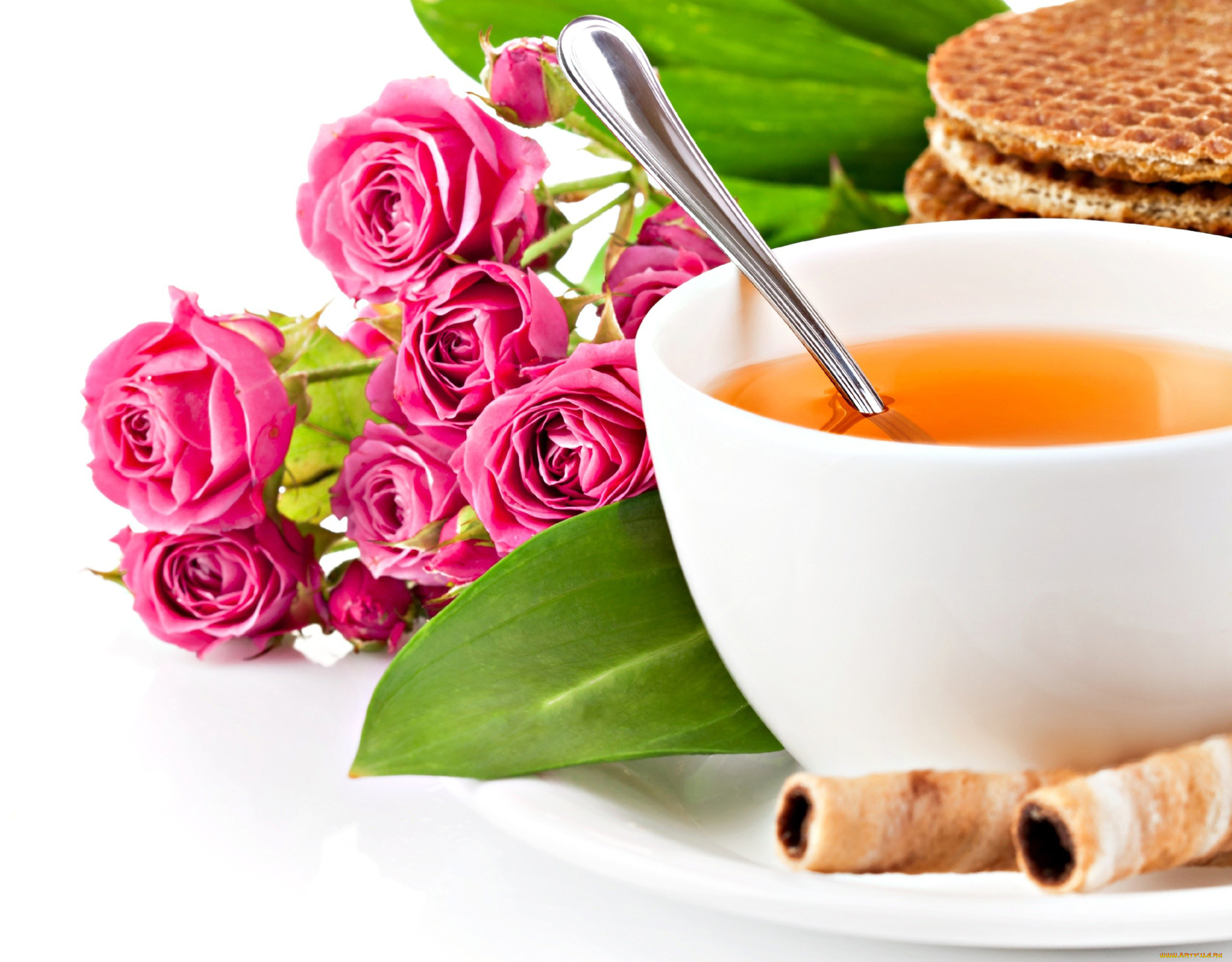 Доброе утро этикет. Кофе и цветы. Чай цветок. Чай с цветами. Чашка чая.